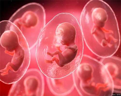 北京试管助孕：实现家庭生育梦想的希望之路