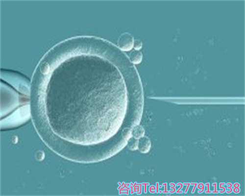 北京助孕机构选择指南：三大权威机构对比分析