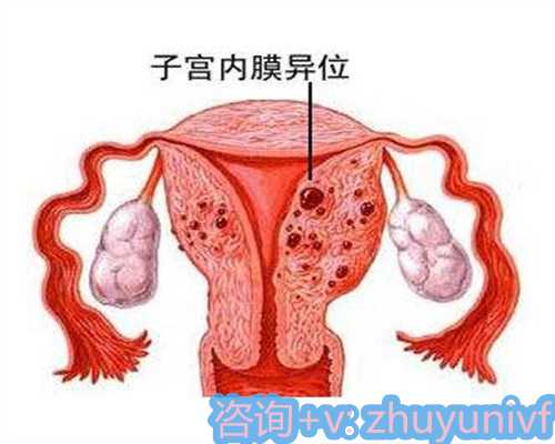 探寻助孕成功率与科学备孕