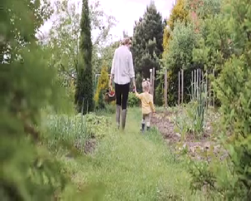 北京助孕机构的合法性评估：热门诊所揭秘