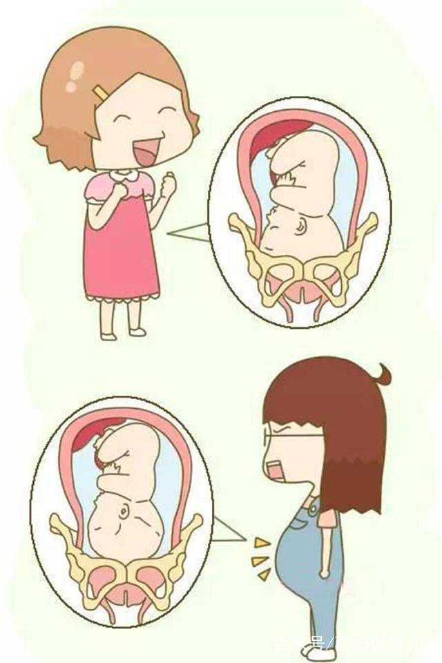 代孕生育新篇章：让爱得以延续