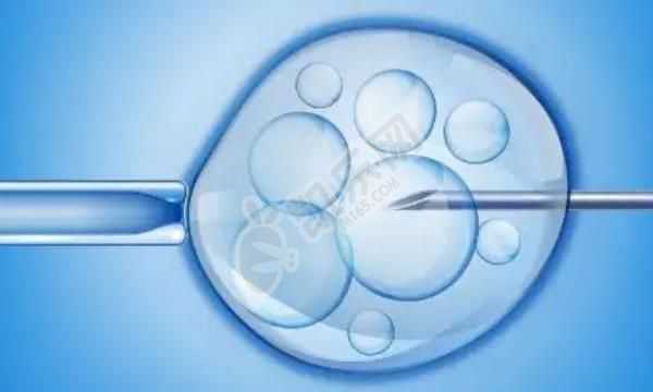 46岁供卵试管的成功率,深圳试管婴儿中为了取得好的精子男性应该怎样做呢